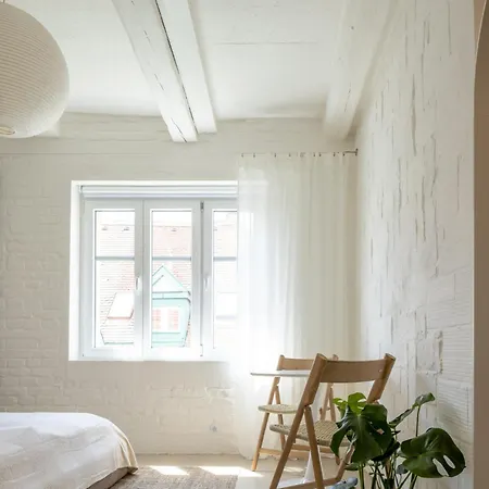 Grosska Cozy - Center Lägenhet Bratislava
